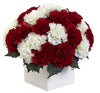 1372-RW Red & White Carnation Silk Arrangement w/Planter 10 colors by Nearly Natural | 11"