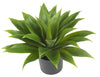 6565 Agave Artificial Silk Plant with Planter by Nearly Natural | 25 inches