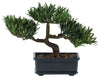 4121 Artificial Set of 3 Bonsai Trees by Nearly Natural | 12 inches wide