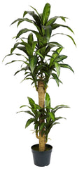 6100 Yucca Artificial Silk Tree with Planter by Nearly Natural | 5 feet