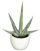 4769 Agave Set of 3 Silk Plants by Nearly Natural | up to 8.5 inches