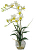 1135-CR Cream Silk Dendrobium in Water in 4 colors by Nearly Natural | 22 inches