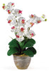 1026-WH White Double Phalaenopsis Silk Orchid in 8 colors by Nearly Natural | 25"