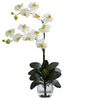 1323-CR Cream Double Phalaenopsis Orchid in Water 8 colors by Nearly Natural | 27"