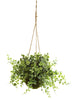 6741-S3 Eucalyptus Maidenhair Silk Hanging Baskets by Nearly Natural | 12"