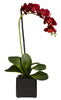 4757-S2 Phalaenopsis Silk Orchid Set/2 Plants by Nearly Natural | 20 inches