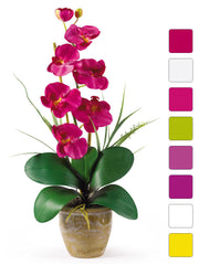 1016 Phalaenopsis Silk Orchid in 8 colors by Nearly Natural | 21 inches