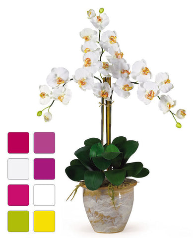 Phalaenopsis Silk Orchid with Planter in 8 colors | 27 inches