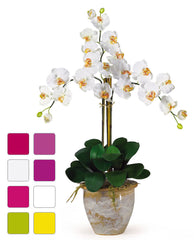 1017 Phalaenopsis Silk Orchid in 8 colors by Nearly Natural | 27 inches