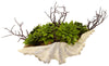 4851 Artificial Succulent Garden in Faux Sea Shell by Nearly Natural | 11"