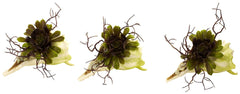 4840-S3 Artificial Succulent Set/3 in Faux Sea Shells by Nearly Natural | 5"