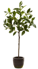 5423 Bay Leaf Artificial Standard Topiary Plant by Nearly Natural | 29"