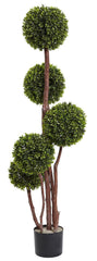 5428 Boxwood Indoor Outdoor Silk Pom-Pom Topiary by Nearly Natural | 4 feet