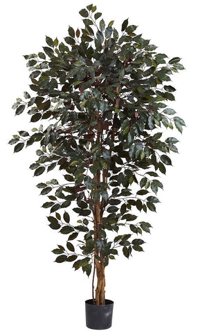 5436 Capensis Ficus Artificial Tree with Planter by Nearly Natural | 6 feet