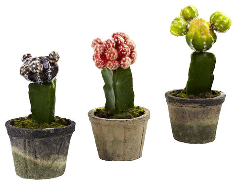 4842-S3 Colorful Cactus Set of 3 Faux Plants by Nearly Natural | 6 to 7 inches