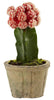 4842-S3 Colorful Cactus Set of 3 Faux Plants by Nearly Natural | 6 to 7 inches