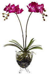 4831 Double Phalaenopsis Orchid Silk Flowers by Nearly Natural | 19 inches