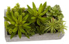 4841 Faux Succulent Garden in Concrete Planter by Nearly Natural | 12.75"