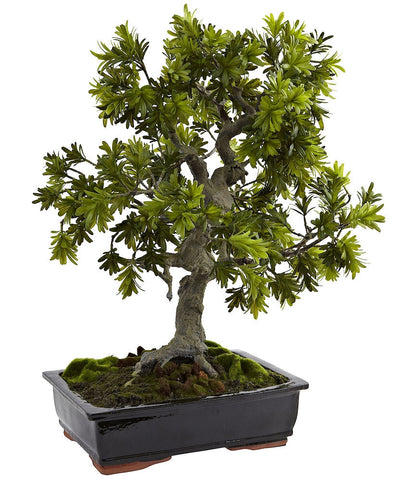 4849 Giant Podocarpus Silk Bonsai Tree with Planter by Nearly Natural | 30"