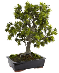 4849 Giant Podocarpus Silk Bonsai Tree with Planter by Nearly Natural | 30"