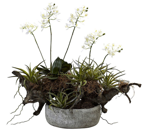 4839 Mini Dendrobium Orchid & Succulent Silk Plants by Nearly Natural | 20"