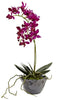 4993-S2 Mini Dendrobium Orchid Set of 2 Silk Plants by Nearly Natural | 13.5"