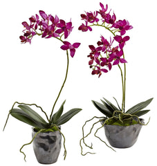 4993-S2 Mini Dendrobium Orchid Set of 2 Silk Plants by Nearly Natural | 13.5"