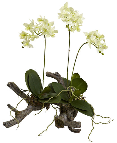 4837 Mini Silk Dendrobium Orchid on Root Base by Nearly Natural | 16 inches