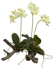 4837 Mini Silk Dendrobium Orchid on Root Base by Nearly Natural | 16 inches