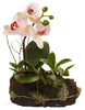 4835-S2 Phalaenopsis & Dendrobium Silk Orchid Set of 2 by Nearly Natural | 10"
