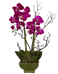 4990 Phalaenopsis Orchid & Succulent Silk Plants by Nearly Natural | 21"