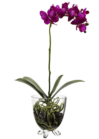 4832 Phalaenopsis Silk Orchid in Water w/Planter by Nearly Natural | 17.5"