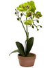 4991-S4 Phalaenopsis Silk Orchid Set of 4 w/Planters by Nearly Natural | 13"