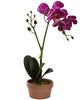 4991-S4 Phalaenopsis Silk Orchid Set of 4 w/Planters by Nearly Natural | 13"