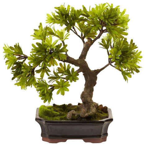 4848 Podocarpus Artificial Bonsai Tree with Planter by Nearly Natural | 14"