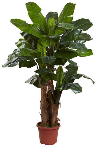 5434 Triple Stalk Banana Indoor Outdoor Silk Tree by Nearly Natural | 7 ft