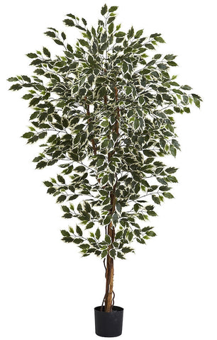 5437 Variegated Hawaiian Ficus Silk Tree w/Planter by Nearly Natural | 6 ft