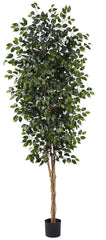 5427 Weeping Fig Ficus Artificial Silk Tree by Nearly Natural | 8 feet