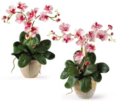 1038 Triple Mini Phalaenopsis Silk Orchid 2 colors by Nearly Natural | 20"