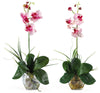 1051 Mini Silk Phalaenopsis in Water in 2 colors by Nearly Natural | 20"