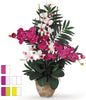1071 Phalaenopsis Dendrobium Orchids in 5 colors by Nearly Natural | 29"