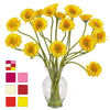 1086 Silk Gerber Daisy in Water in 7 colors by Nearly Natural | 21 inches