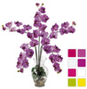 1106 Silk Phalaenopsis in Water in 8 colors by Nearly Natural | 31 inches