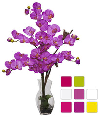 1191 Silk Phalaenopsis in Water in 8 colors by Nearly Natural | 29 inches