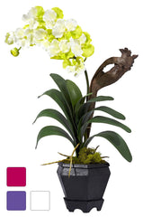 1252 Vanda Silk Orchid Plant in 3 colors by Nearly Natural | 24 inches