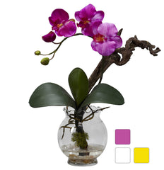 1277 Mini Silk Phalaenopsis in Water in 3 colors by Nearly Natural | 15"