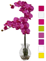 1295 Silk Phalaenopsis in Water in 8 colors by Nearly Natural | 24 inches