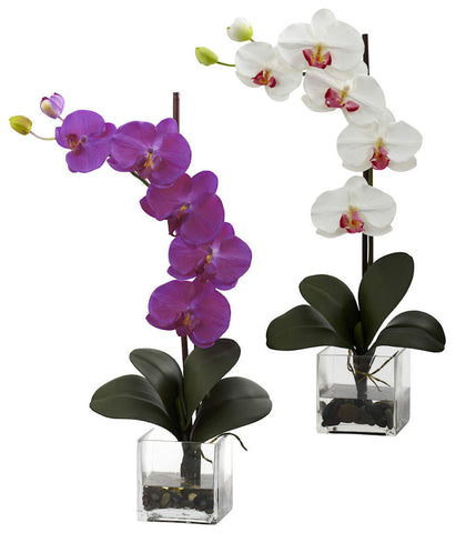 Giant Phalaenopsis Silk Orchid in Water 2 colors | 26 inches