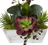 1418-RD Red Orchid & Succulent Silk Flowers by Nearly Natural | 21"