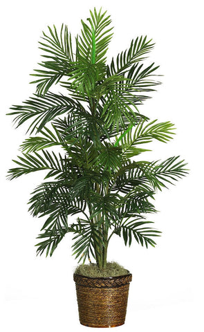 Areca Palm Silk Tree with Lacquered Rope Planter | 56 inches